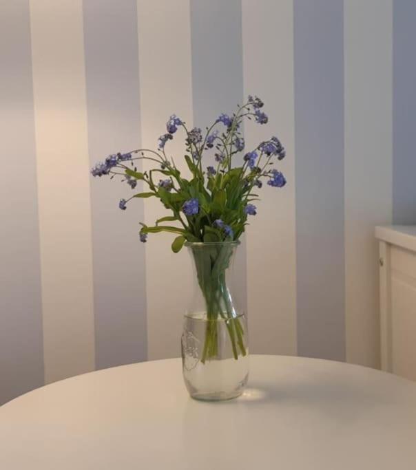 Heidaway Sylt - Schoenes Mit Terrasse/garten *