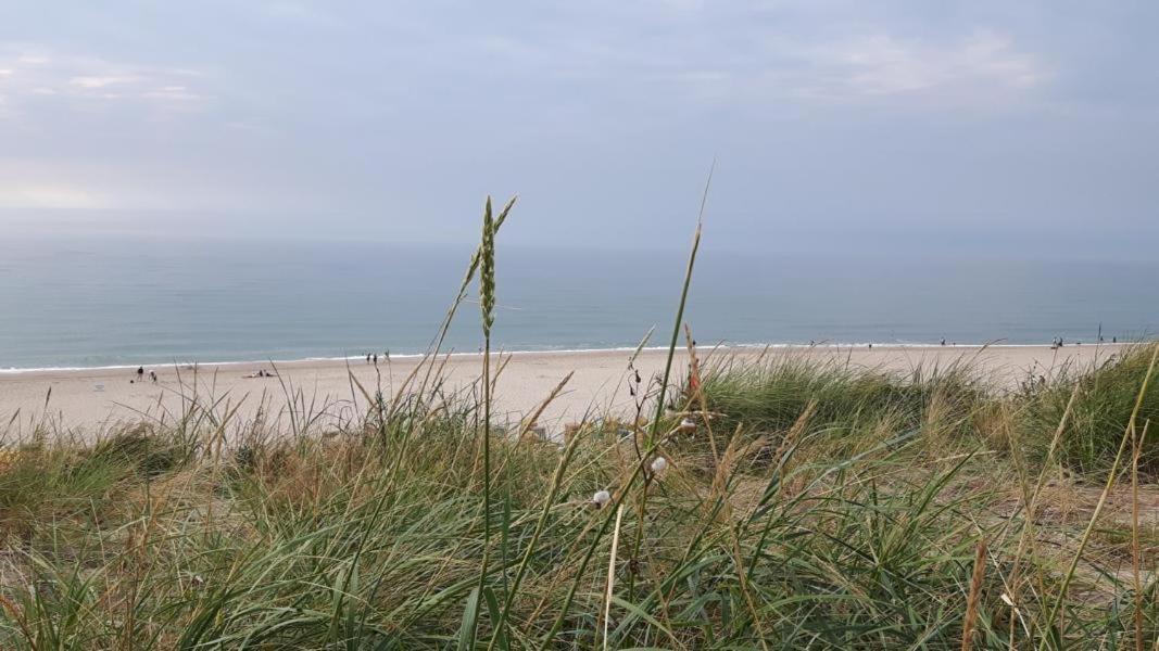 Heidaway Sylt - Schoenes Mit Terrasse/garten *